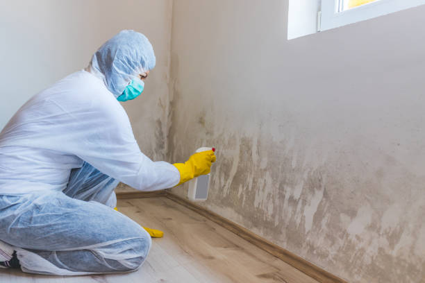 Commercial Mold Remediation assessment for commercial property in Berwyn